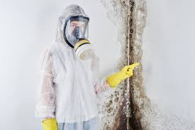 Best Comprehensive Air Testing for Mold Contaminants in Cresson, TX